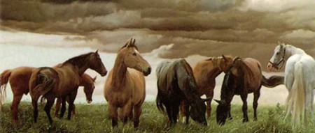 Ranch